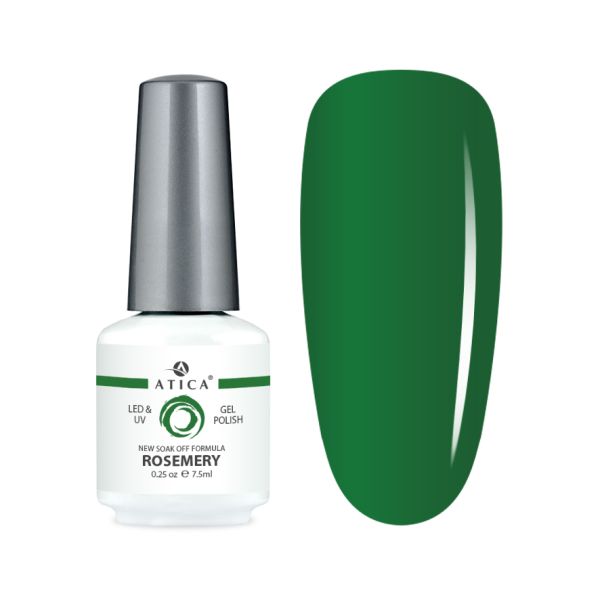 231_1 Rosemery 8 ml – Bild 1
