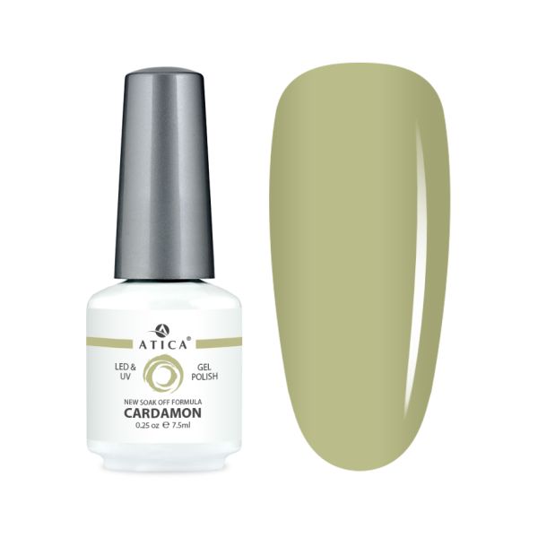 234_1 Cardamon 8 ml – Bild 1